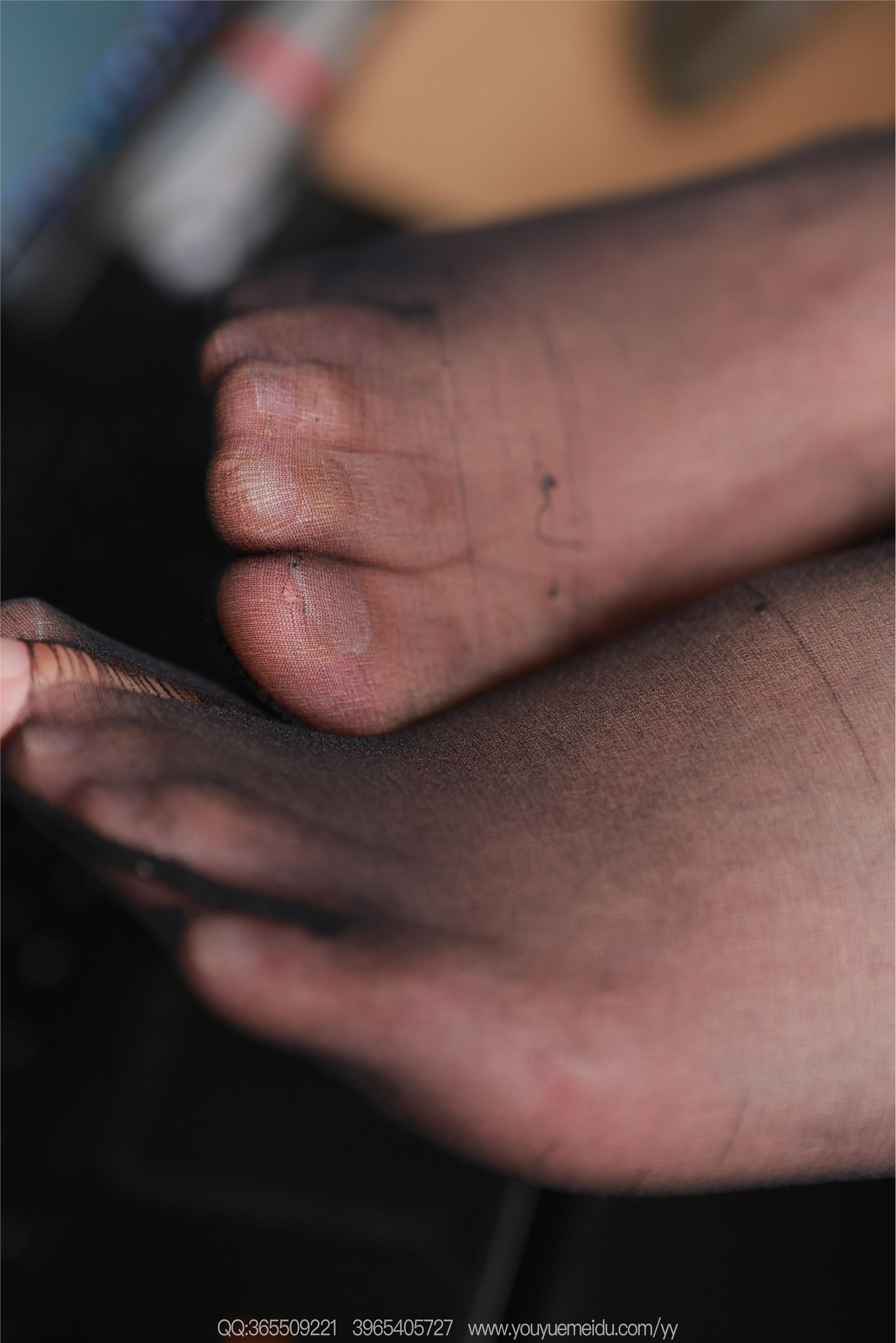 IESS异思趣向  2025.10.17 丝享家 2187 秋秋《左看右顾》